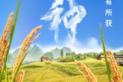 凉山芒种节气小知识来了 夏种作物都有什么？