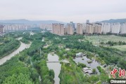 凉山西宁市举办六五环境日主题宣传活动